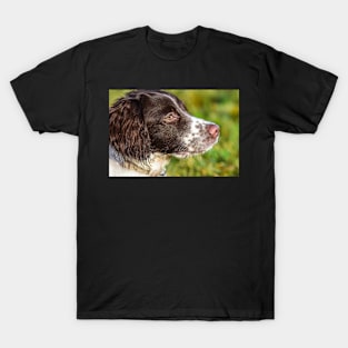 English Springer T-Shirt